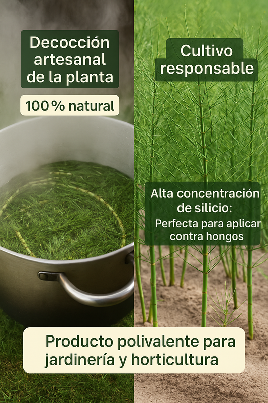 AgroPure - Extracto de Cola de Caballo 5 L