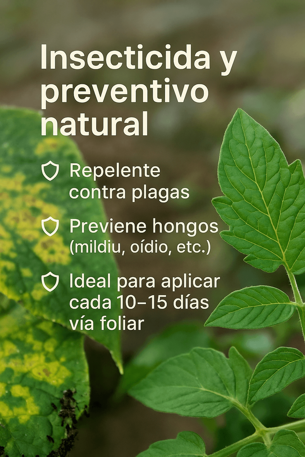 Insecticida natural, repelente contra plagas y hongos, aplicación foliar cada 10-15 días para cultivos ecológicos.