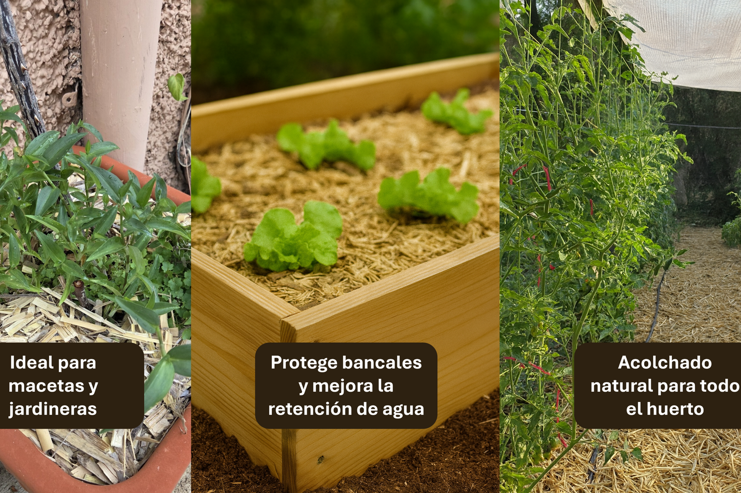 AgroPure - Acolchado Caña 50L