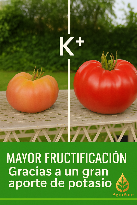 AgroPure - Extracto de Consuelda 5 L