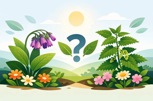 Consuelda o ortiga para floración, ¿cuál usar?