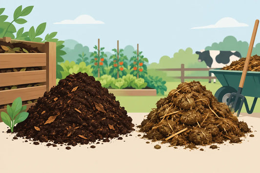 Compost maduro vs estiércol fresco en el huerto