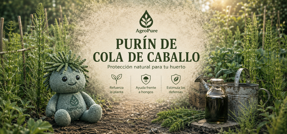 EXTRACTO COLA DE CABALLO