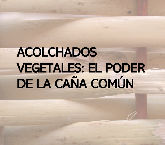 Acolchados vegetales: qué son, por qué funcionan y por qué apostamos por la caña (Arundo donax) en AgroPure