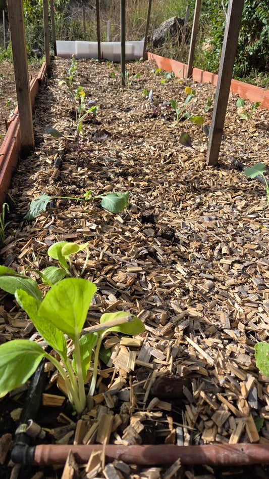 AgroPure - Acolchado Caña 50L