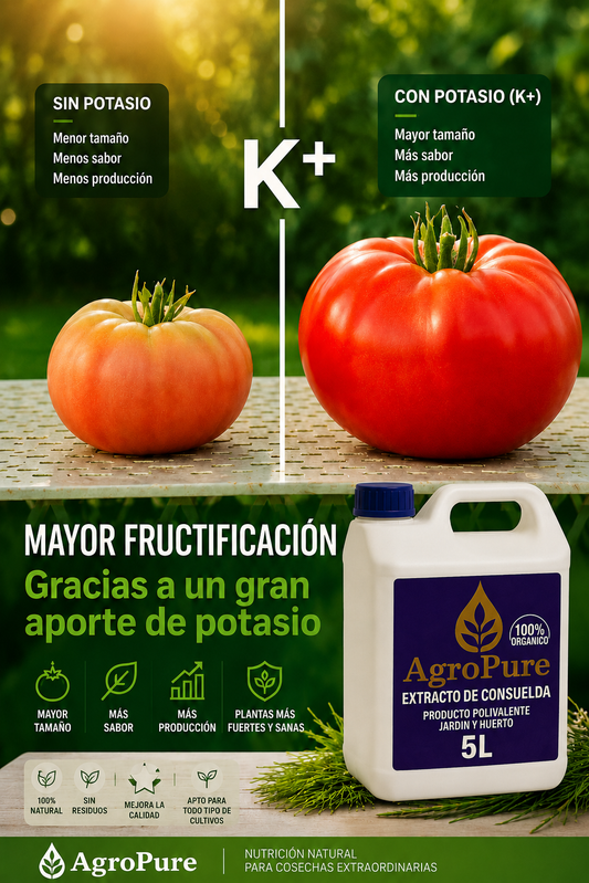 AgroPure - Extracto de Consuelda 5 L