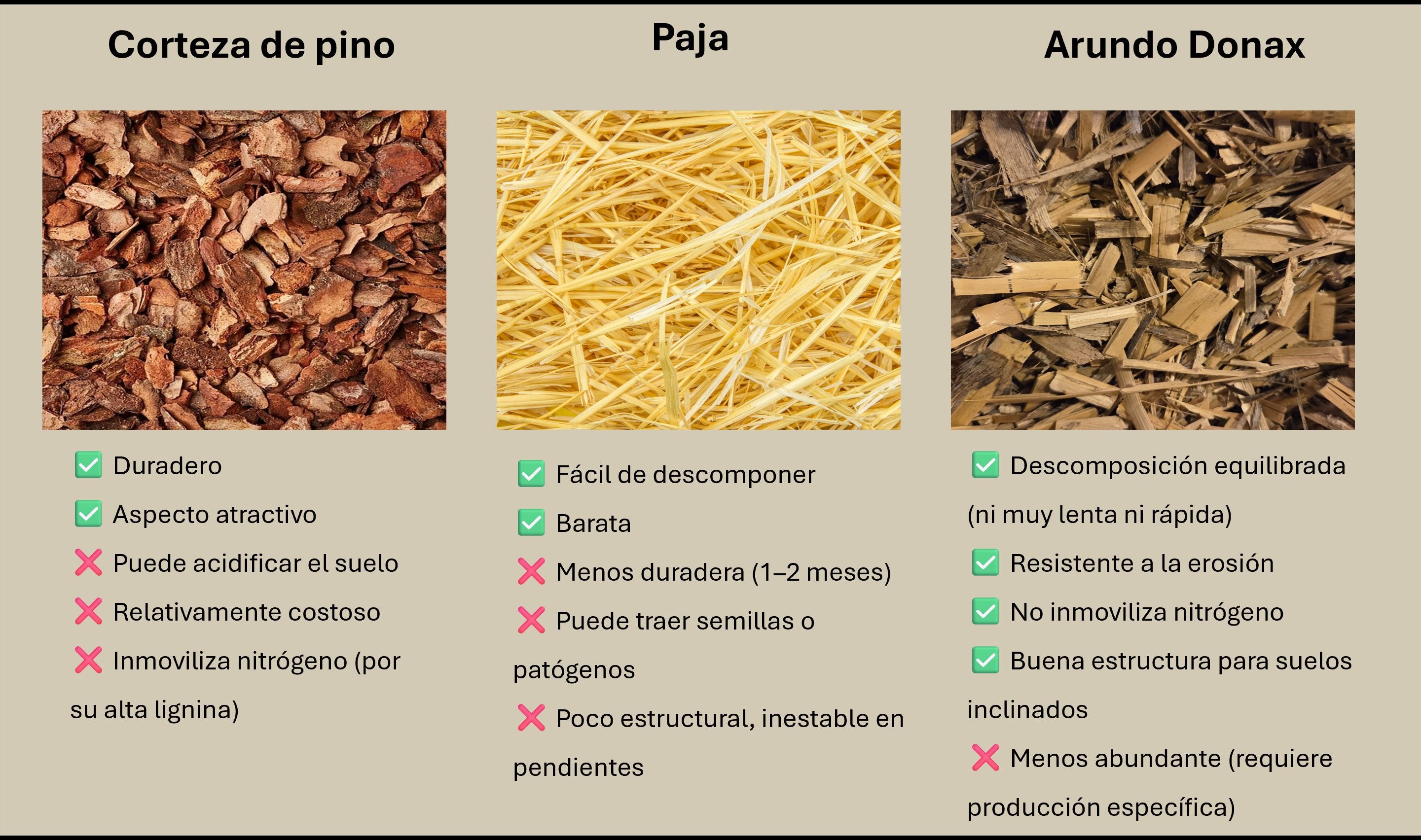 Comparativa de tipos de acolchado vegetal: corteza de pino vs paja vs Arundo donax