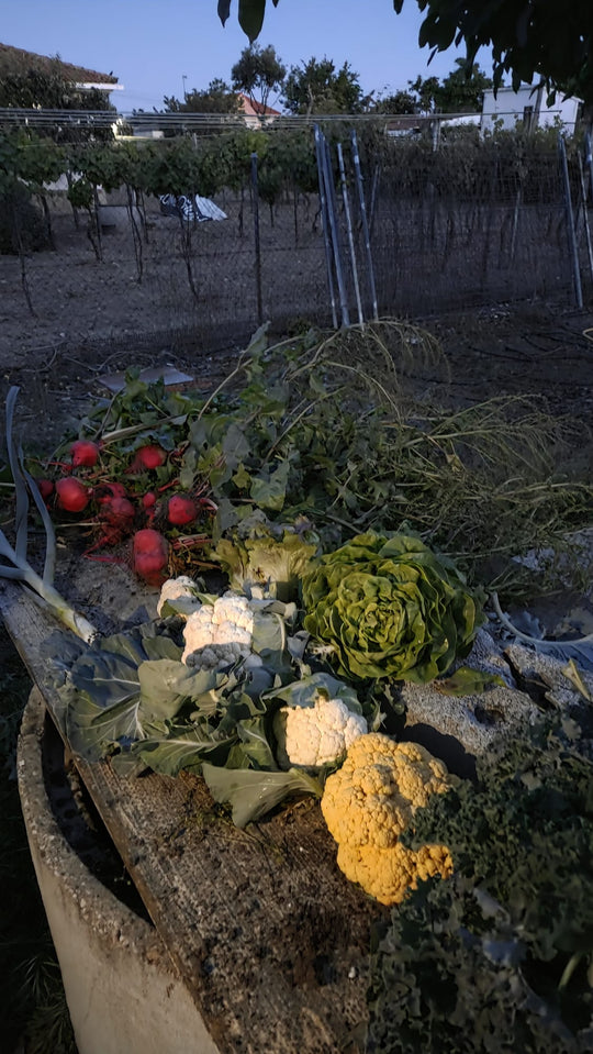 Publicación de AgroPure en Instagram