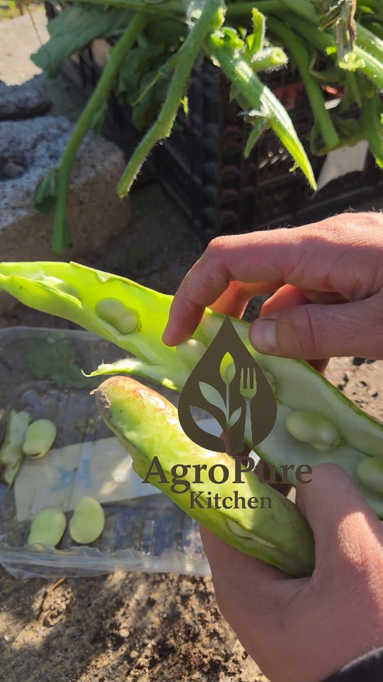 Publicación de AgroPure en Instagram
