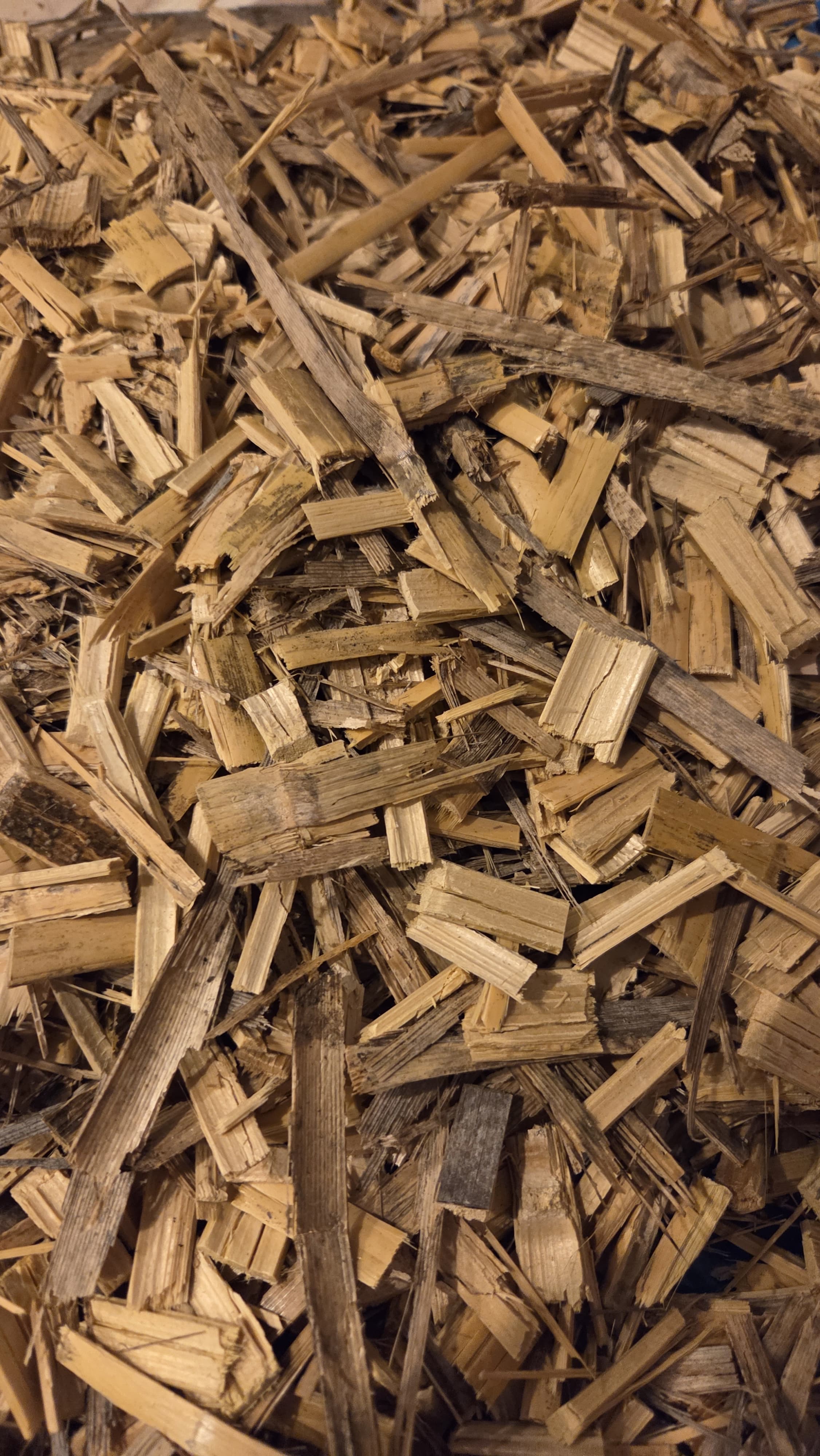 Triturado de caña Arundo donax — textura fibrosa del mulching de AgroPure listo para aplicar