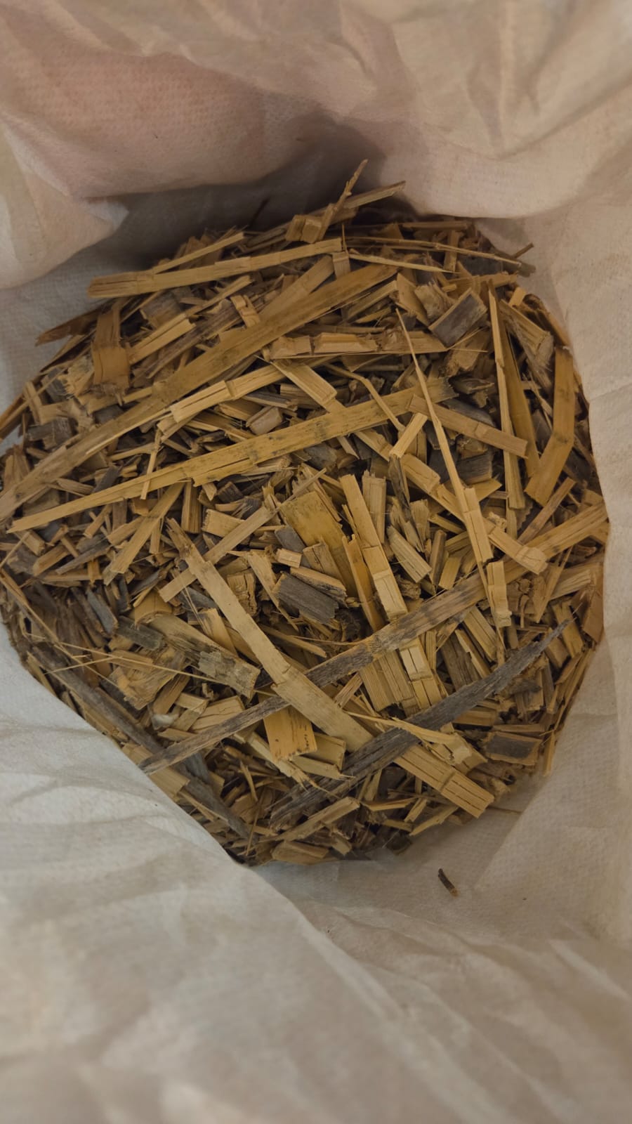 Saco de acolchado de caña Arundo donax AgroPure, formato 50 L