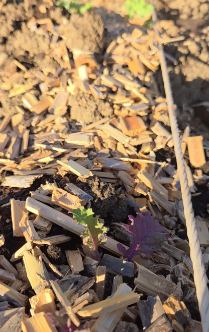 AgroPure - Acolchado Caña 50L